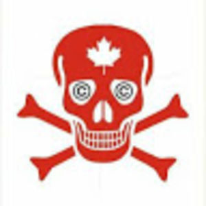 Meet your Posher, Benjie